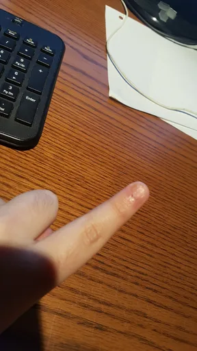 20190527_001921.jpg