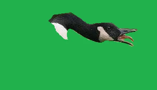 unknown(640).png