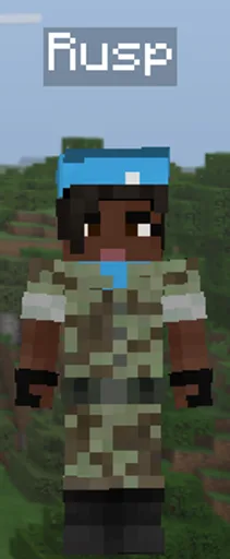 unknown(1084).png