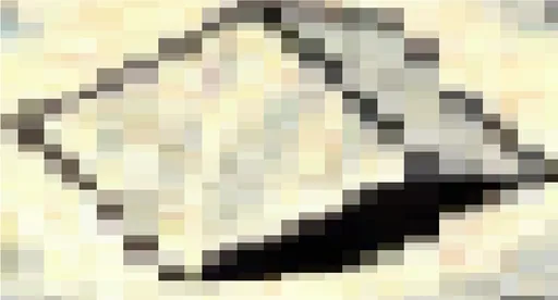 unknown(1572).png