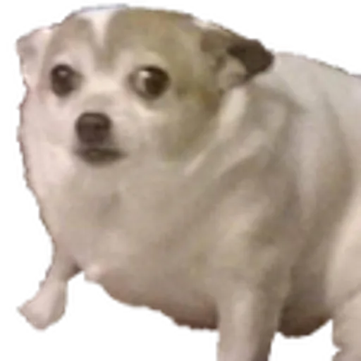 604863665472012306.png