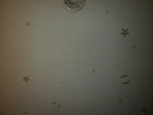 20190717_213244.jpg