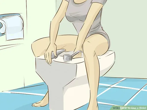 aid31648-v4-728px-Use-a-Bidet-Step-3-Version-3.png