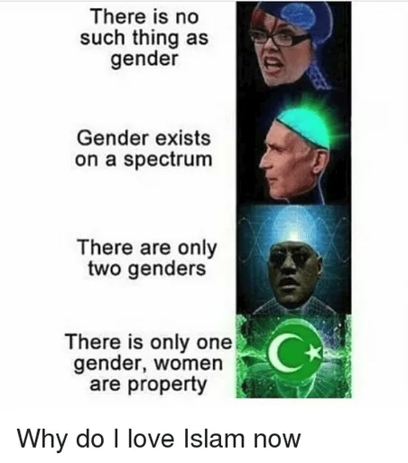 there-is-no-such-thing-as-gender-gender-exists-on-19851698.png