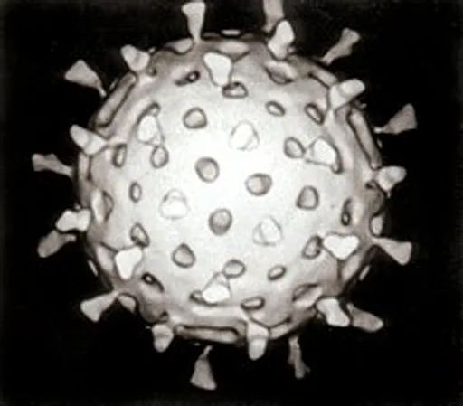Archived external image