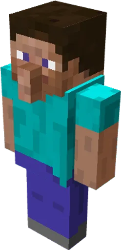 IntentionForVillageSteve.png