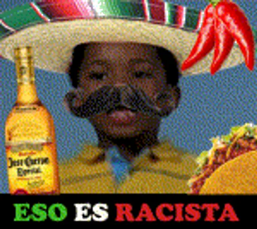 ThatsRacistSpanish.gif