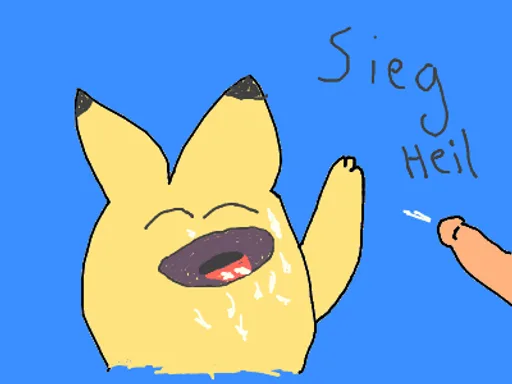 PikacoxHeil.png