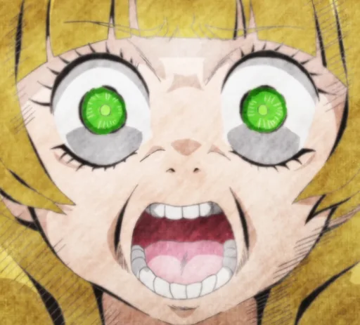 face12.PNG