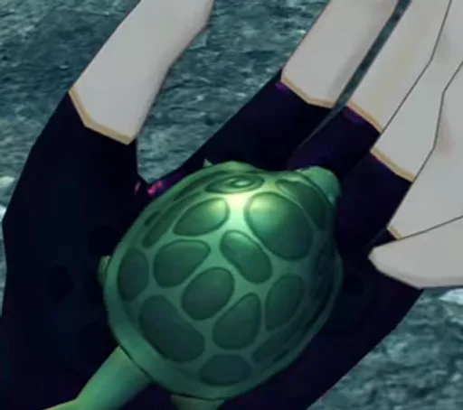 mans_handled_turtle.png