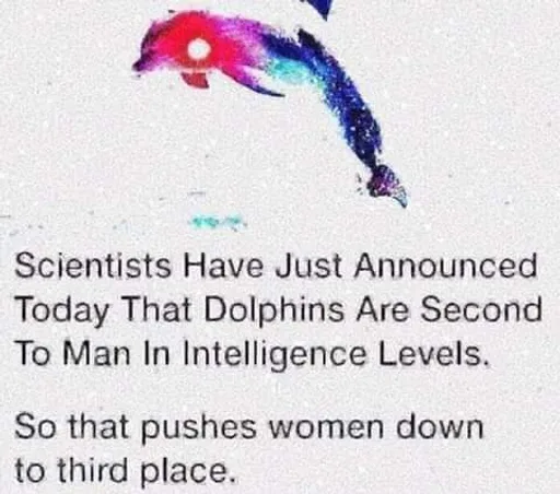 FB_IMG_1544866936958.png