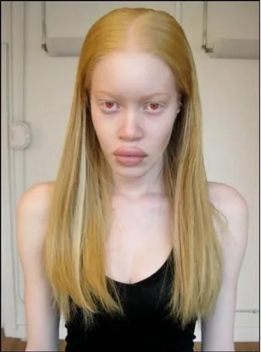 unknown(1347).png