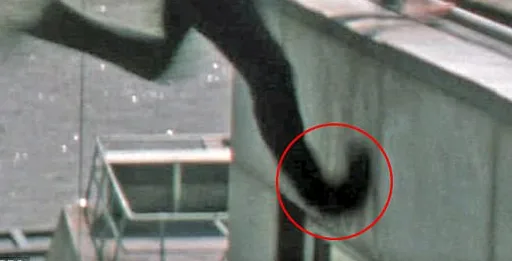 Archived external image