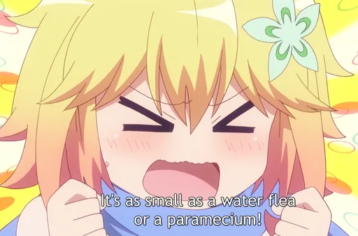 smol.PNG