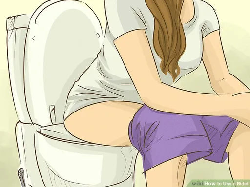 aid31648-v4-728px-Use-a-Bidet-Step-1-Version-3.png