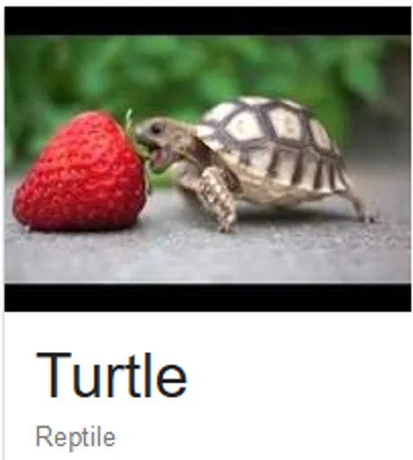 reptile(8).png