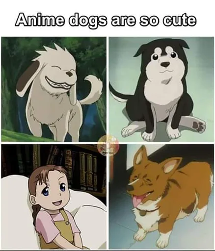 FB_IMG_1557020410381.png