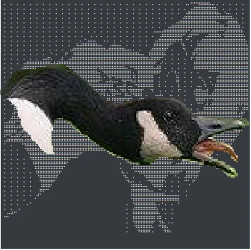 Honk_me_in_my_bomb.png