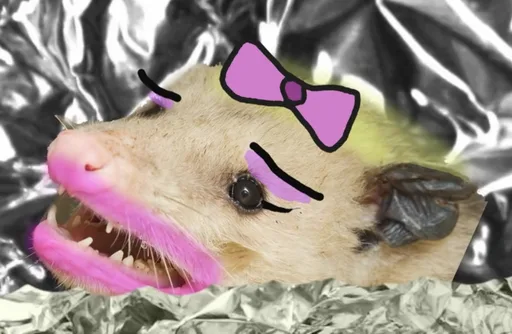 didihear(1).png