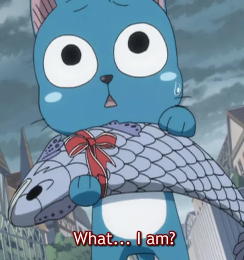 what.PNG