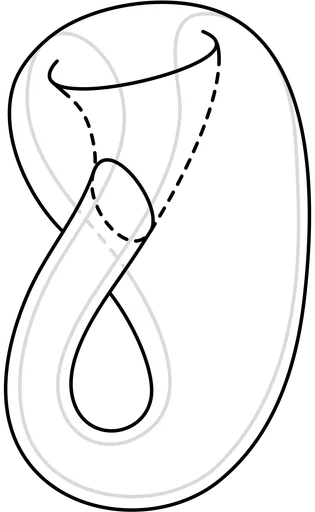 1200px-Surface_of_Klein_bottle_with_traced_line.png