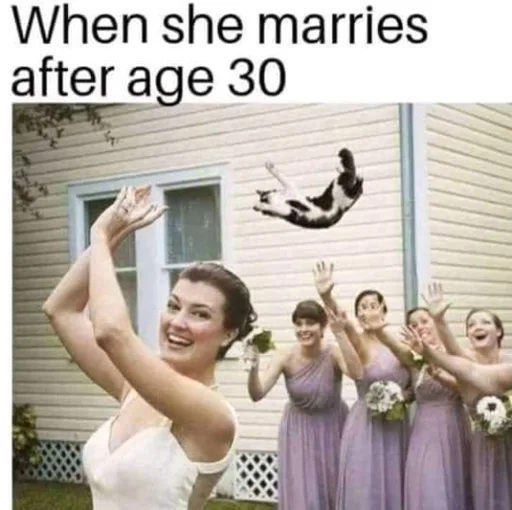 64523360_10157079881425943_661241946437582848_n.png