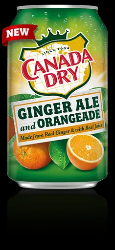 ginger_ale_orangeade.png