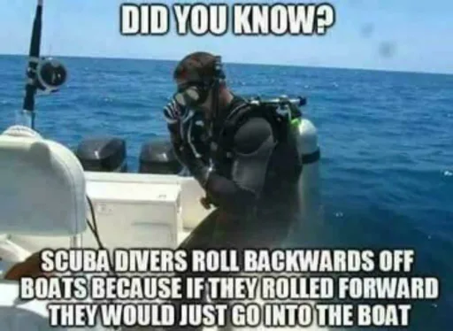 31521442_2499099530119485_3453470339562995712_o.png