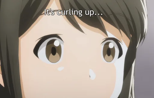 curl(2).PNG