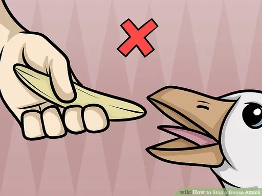 aid5777950-v4-728px-Stop-a-Goose-Attack-Step-9.png