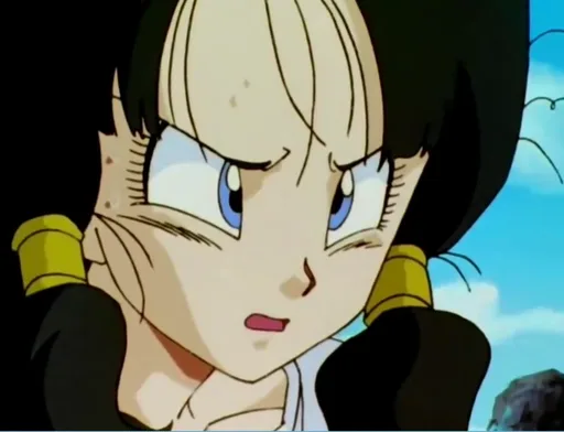 videl(3).PNG