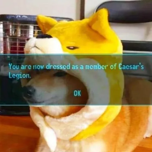 54e145b8-d7cf-44c5-8473-d6d15fc53c2d.png