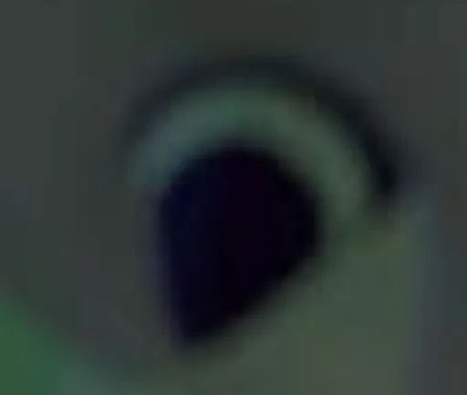 unknown(451).png