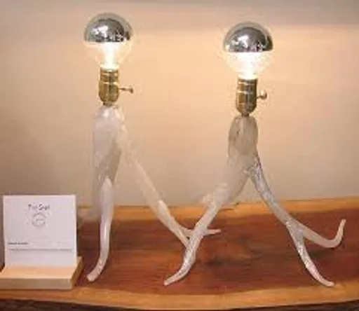 LAMP.jpg