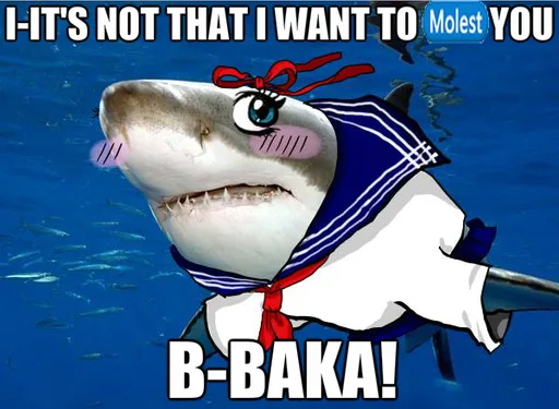 tsundere-shark_o_1675725.jpg