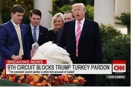 75349073_2572208739663692_8790145841122770944_n.png