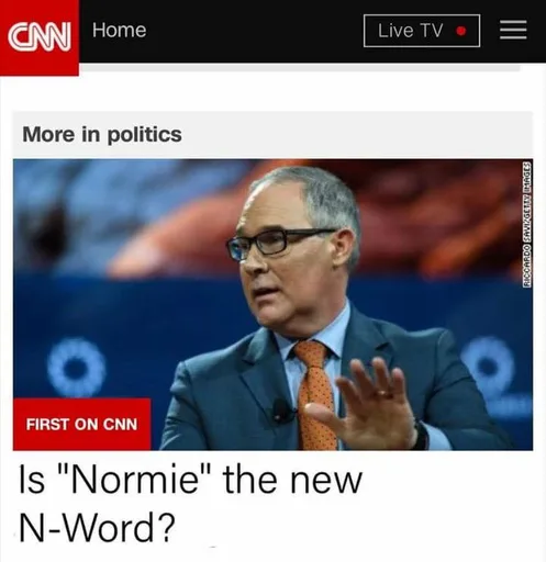 22688647_1746182975416117_6402845672672258146_n.png