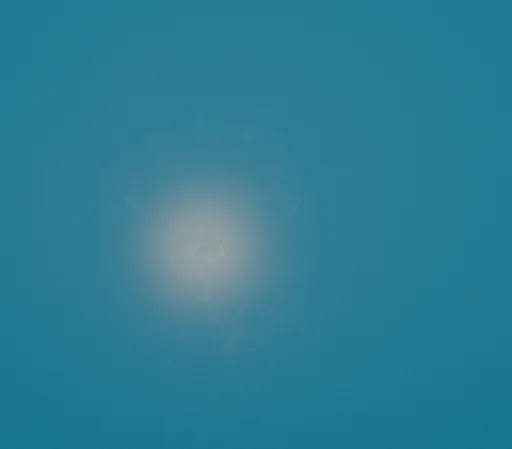 Archived external image