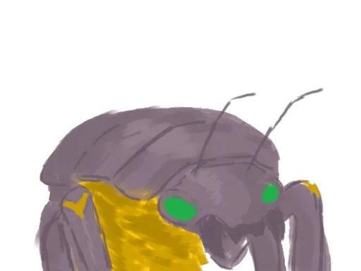 cuckroach.png