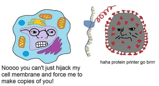 FB_IMG_15845471680177209.png