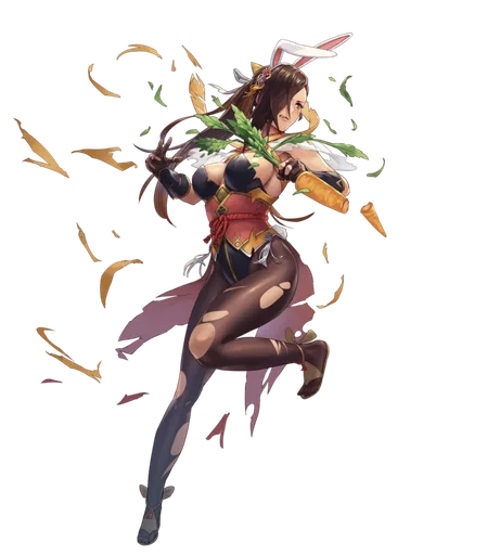 340px-Kagero_Spring_Ninja_BtlFace_D.png