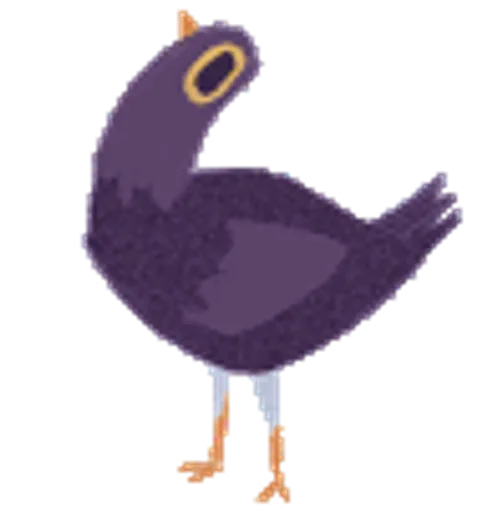 dumbpigeon.gif