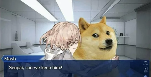 SPOILER_image0-2.png