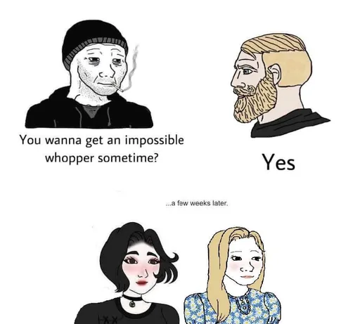 p19g0wg0zt841.png