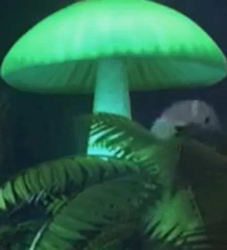 Av5DE8owXraXQAAAABJRU5ErkJggg.png