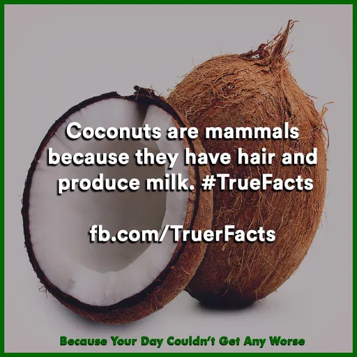 coconut(1).jpg