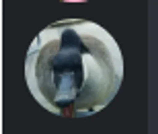 unknown(1408).png