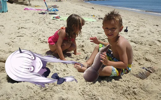 Max_Beach_Cock.png