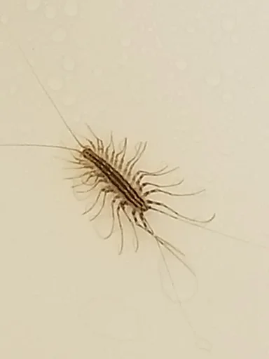 20180903_235639.jpg