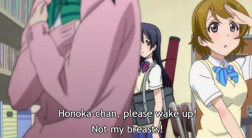 breasts.PNG